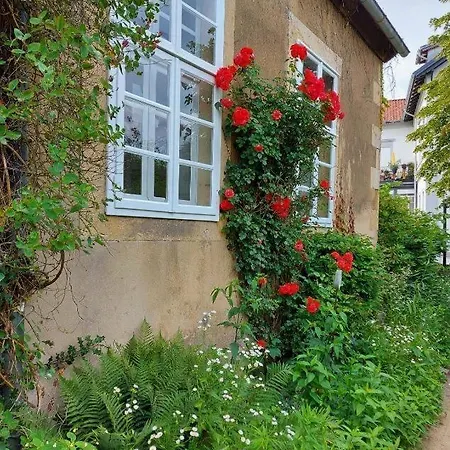 Haus Kroneck-salis Apartment *