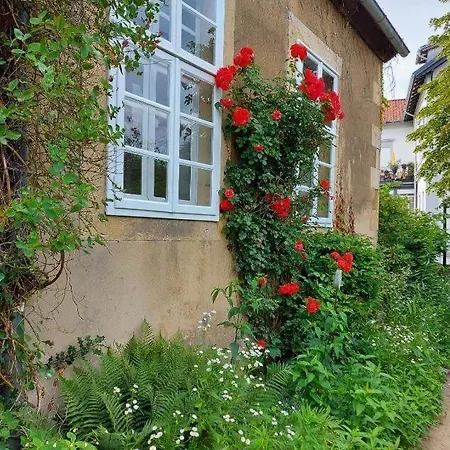 Haus Kroneck-salis Apartment *
